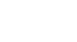 Finks Logo in white