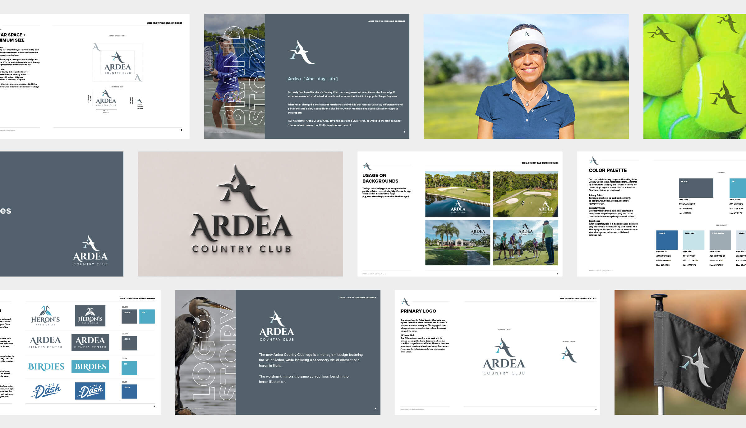 Ardea Branding Examples